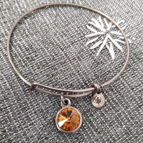 Alex and Ani Crystal November Birthstone Bracelet - Picture 3 of 16